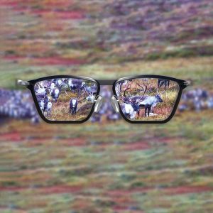 Jakt og syn: Illustrasjonsbilde som viser briller med en reinsflokk skarpt i bakgrunnen. Handler om jakt og syn, briller, kontaktlinser, øyeoperasjon, synsoperasjon, progressive briller og godt syn som jeger.