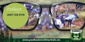 Nytt syn på jakta. Illustrasjonsbilde som viser brille med en reinsflokk. Kontaktlinser, øyeoperasjon, synsoperasjon, progessive brilller. Jeger .
